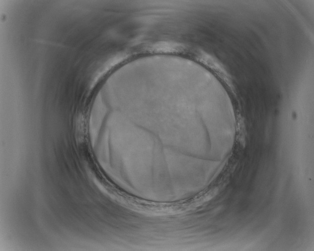 X0000087420012200705181434
