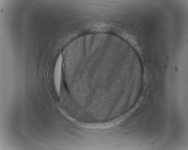 X0000087420017200705181434