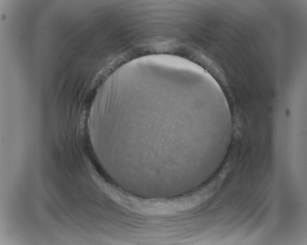 X0000087420018200705181434