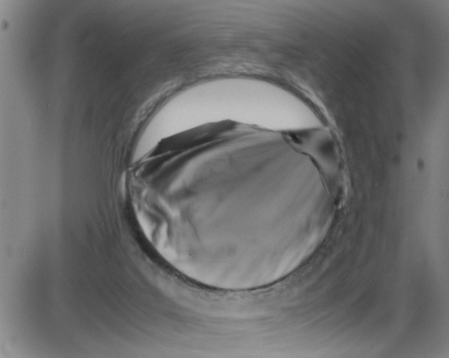 X0000087420019200705181434