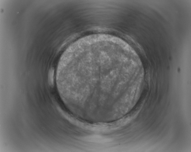 X0000087420024200705181434