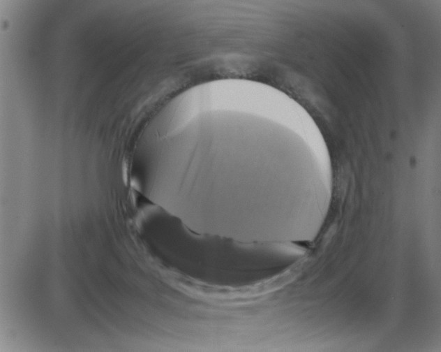 X0000087420027200705181434