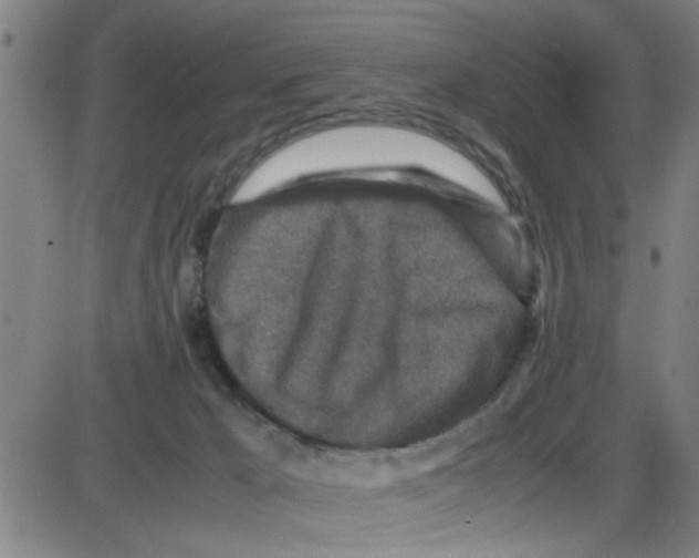 X0000087420029200705181434