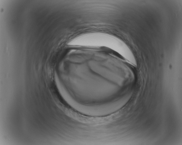 X0000087420031200705181434