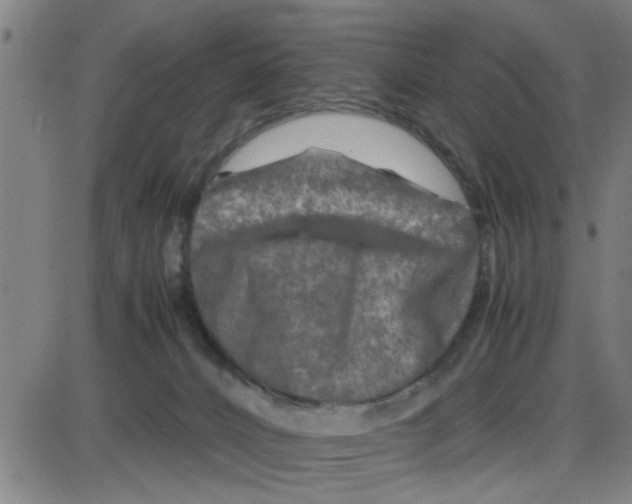 X0000087420032200705181434