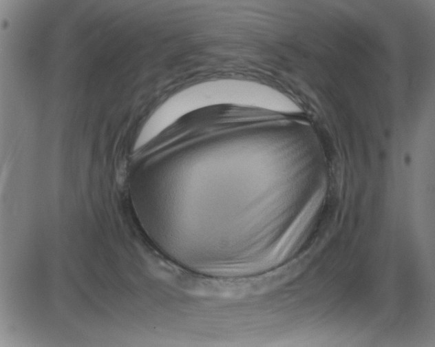 X0000087420033200705181434