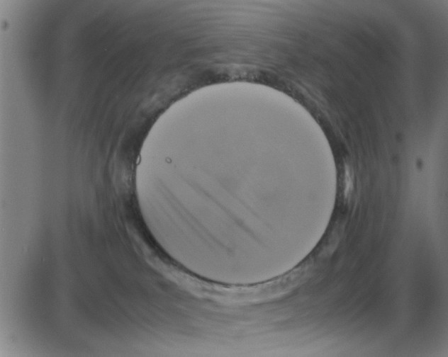 X0000087420039200705181434