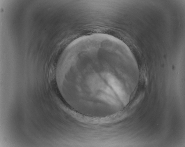 X0000087420043200705181433