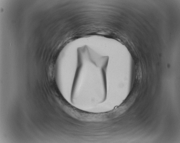 X0000087420044200705181433