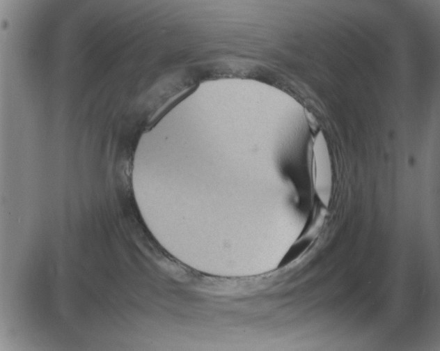 X0000087420045200705181433