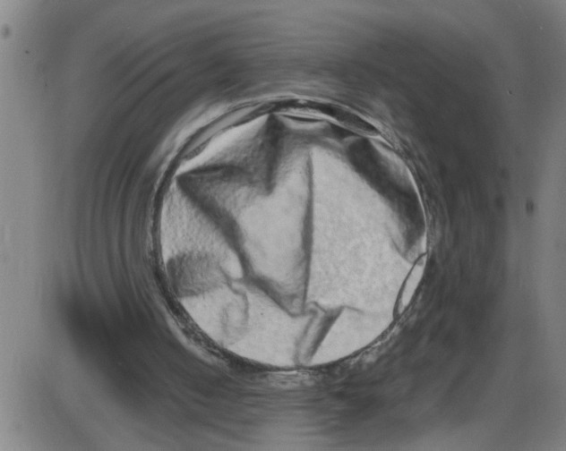 X0000087420050200705181433
