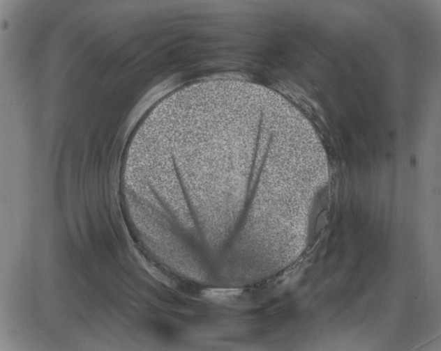 X0000087420051200705181433