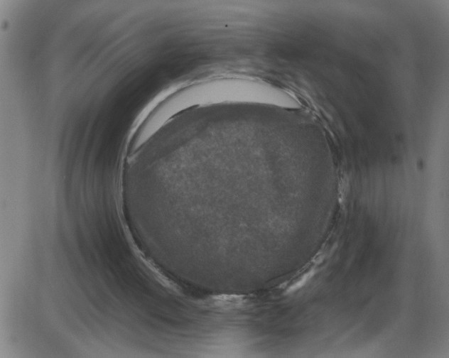 X0000087420052200705181433