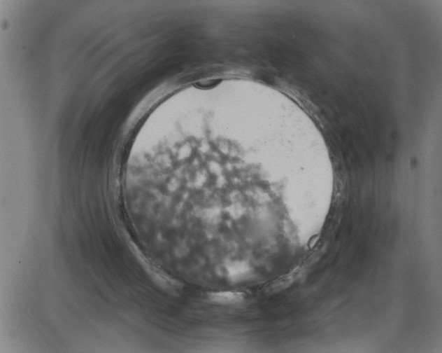 X0000087420053200705181433