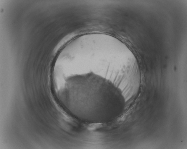 X0000087420054200705181433