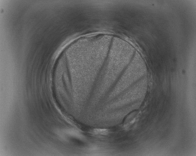 X0000087420055200705181433