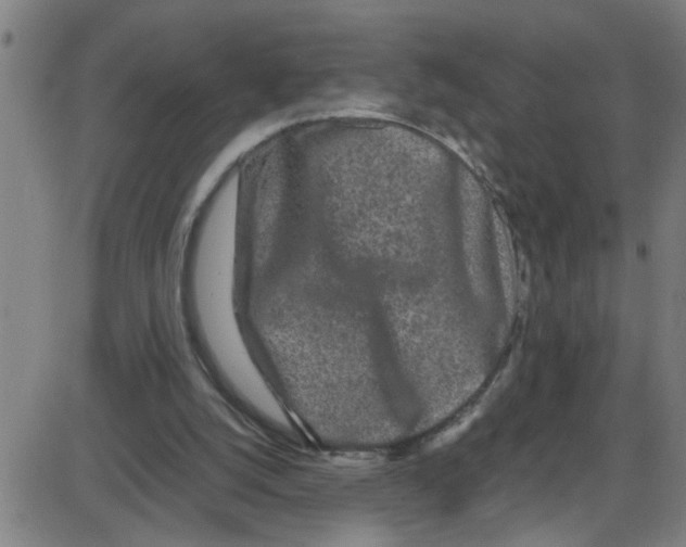 X0000087420056200705181433