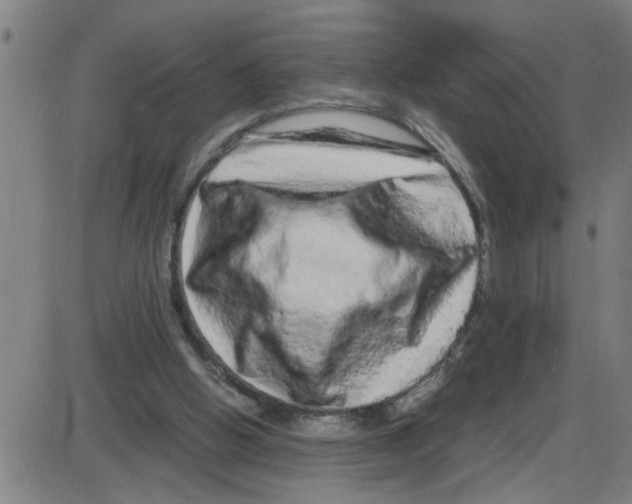 X0000087420058200705181433