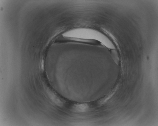 X0000087420067200705181433