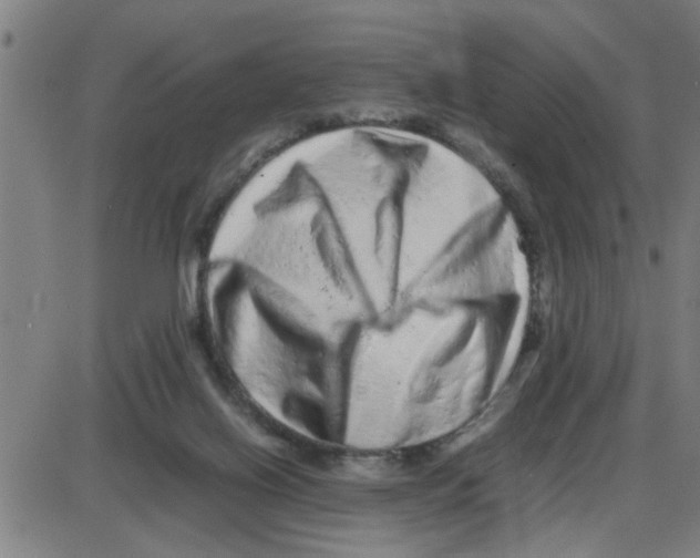 X0000087420070200705181433