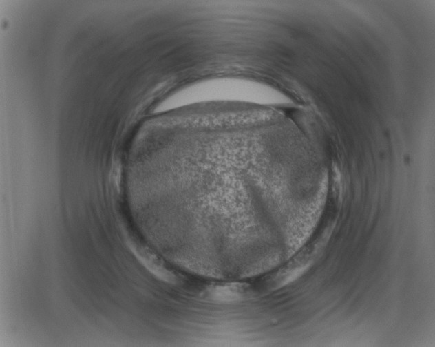 X0000087420072200705181433