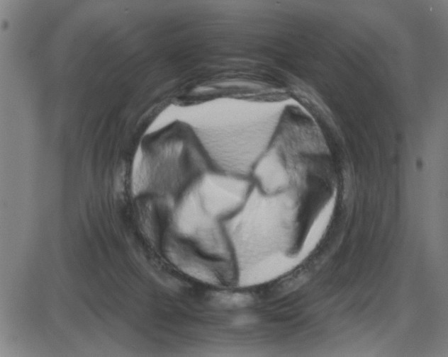 X0000087420073200705181433