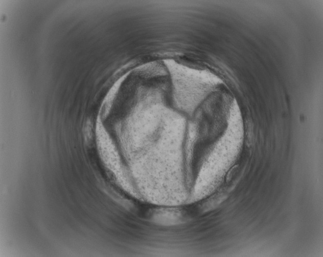 X0000087420077200705181433
