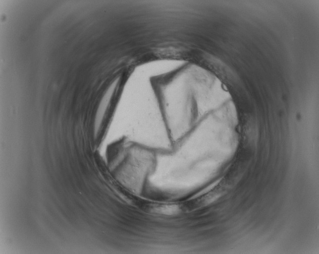 X0000087420081200705181433