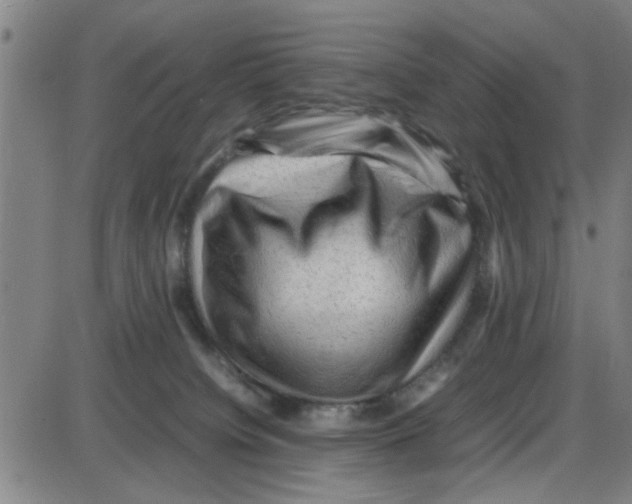 X0000087420084200705181433