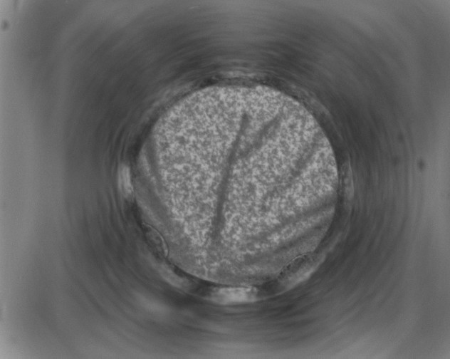X0000087420089200705181433