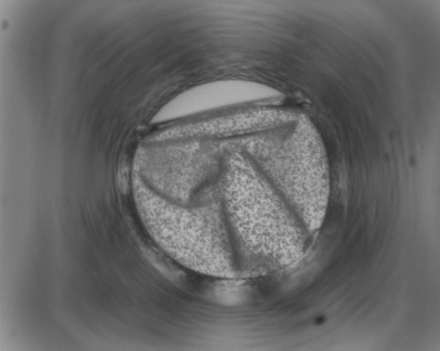 X0000087420090200705181433