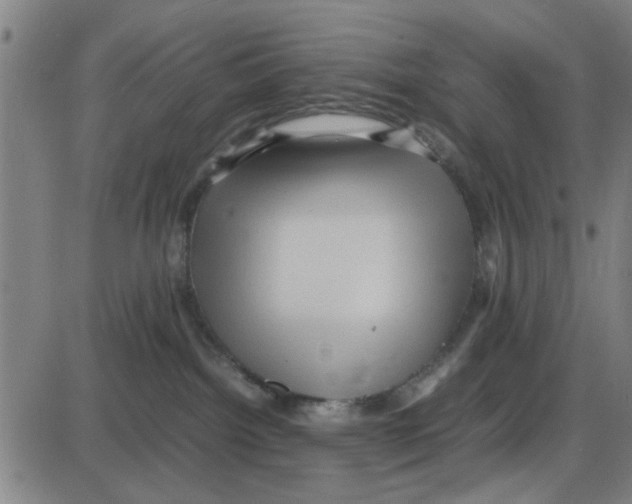 X0000087420092200705181433