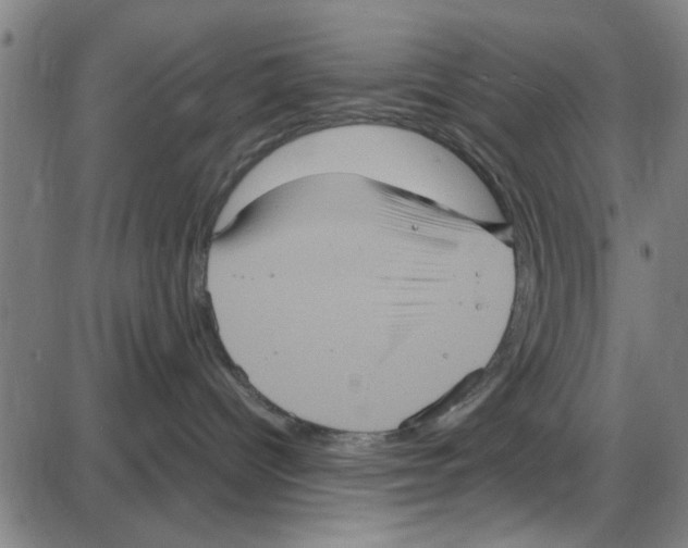 X0000087420096200705181433