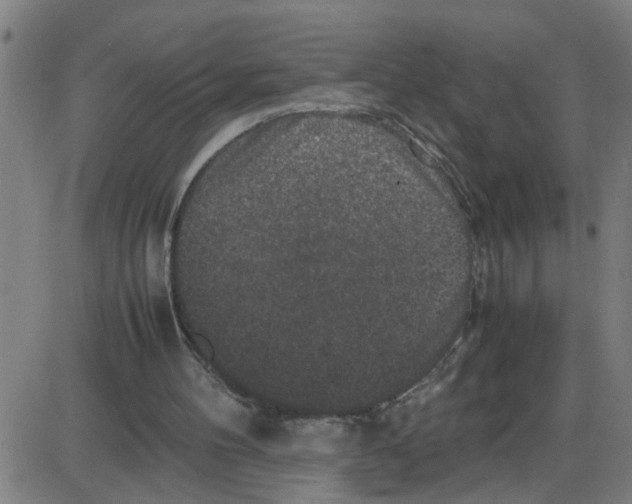 X0000087420100200705181433