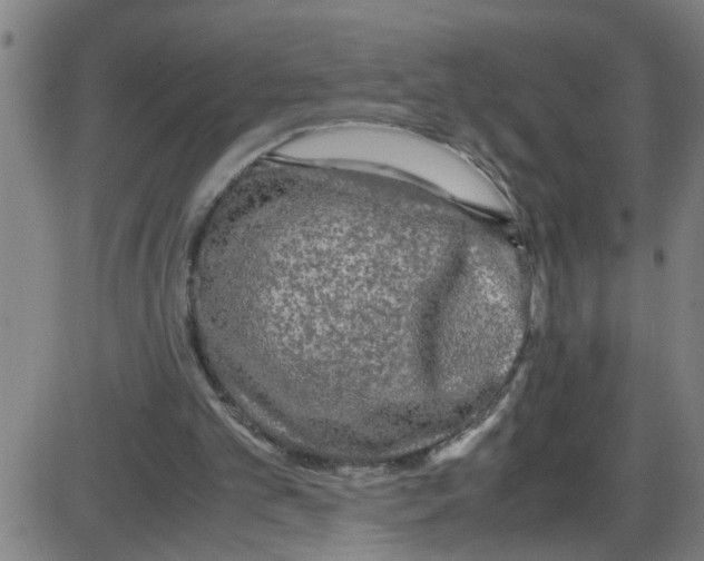 X0000087420101200705181433