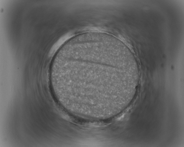 X0000087420103200705181433