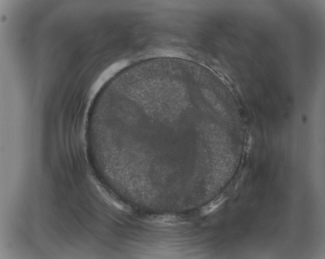 X0000087420104200705181433