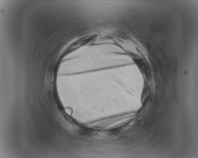 X0000087420107200705181432