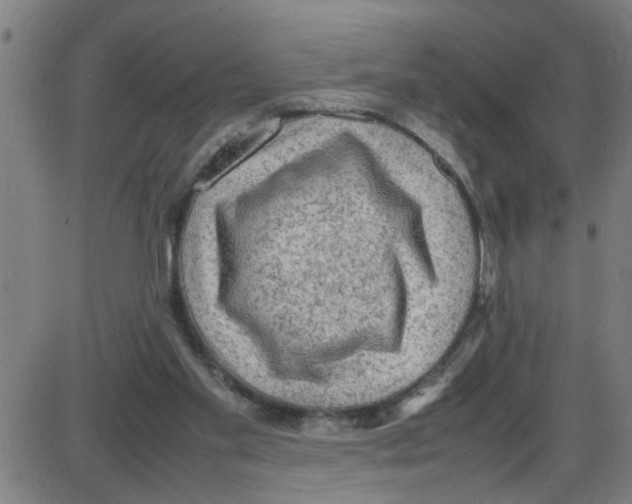 X0000087420109200705181432