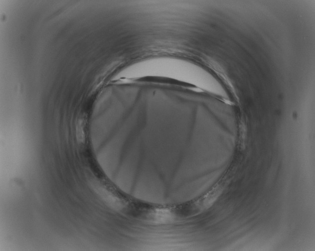 X0000087420114200705181432