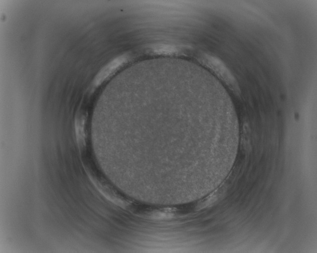 X0000087420116200705181432