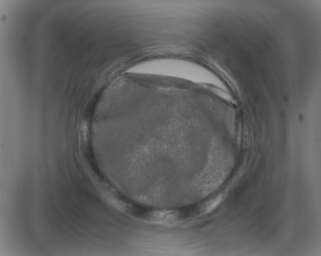 X0000087420117200705181432