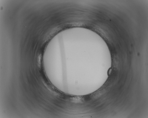 X0000087420118200705181432