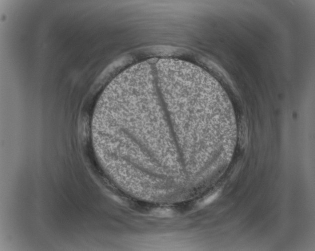 X0000087420119200705181432