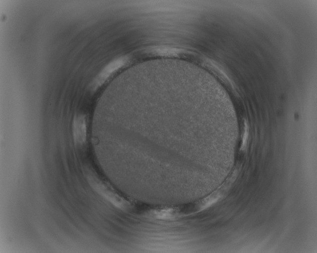 X0000087420120200705181432