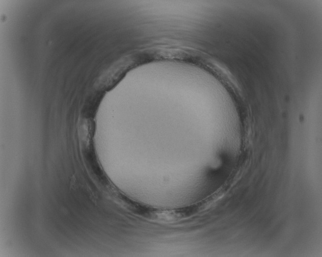 X0000087420121200705181432