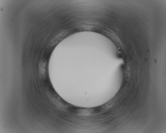 X0000087420122200705181432