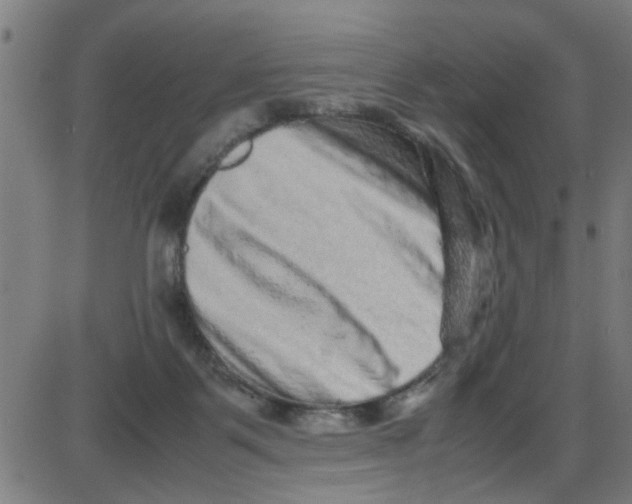 X0000087420123200705181432
