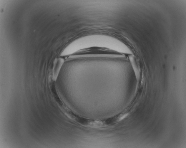 X0000087420125200705181432