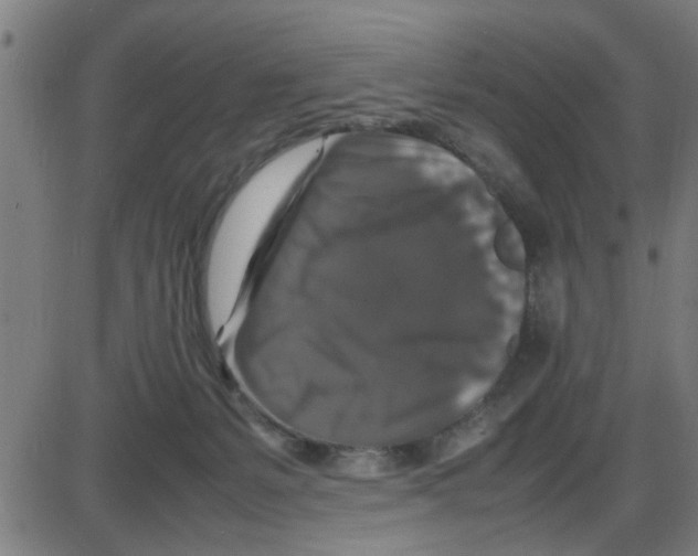 X0000087420127200705181432